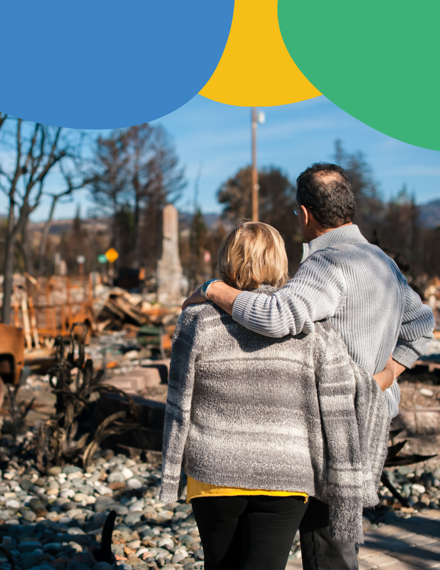 Natural Disaster Toolkit Button